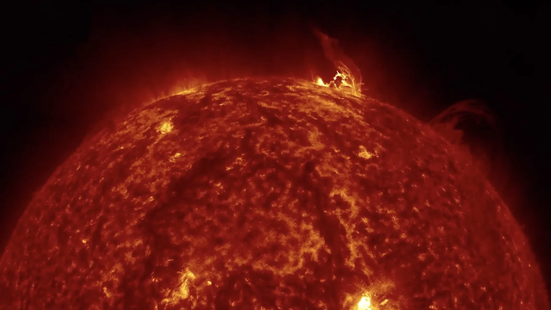 Love is the Message, The Message is Death, de Arthur Jafa