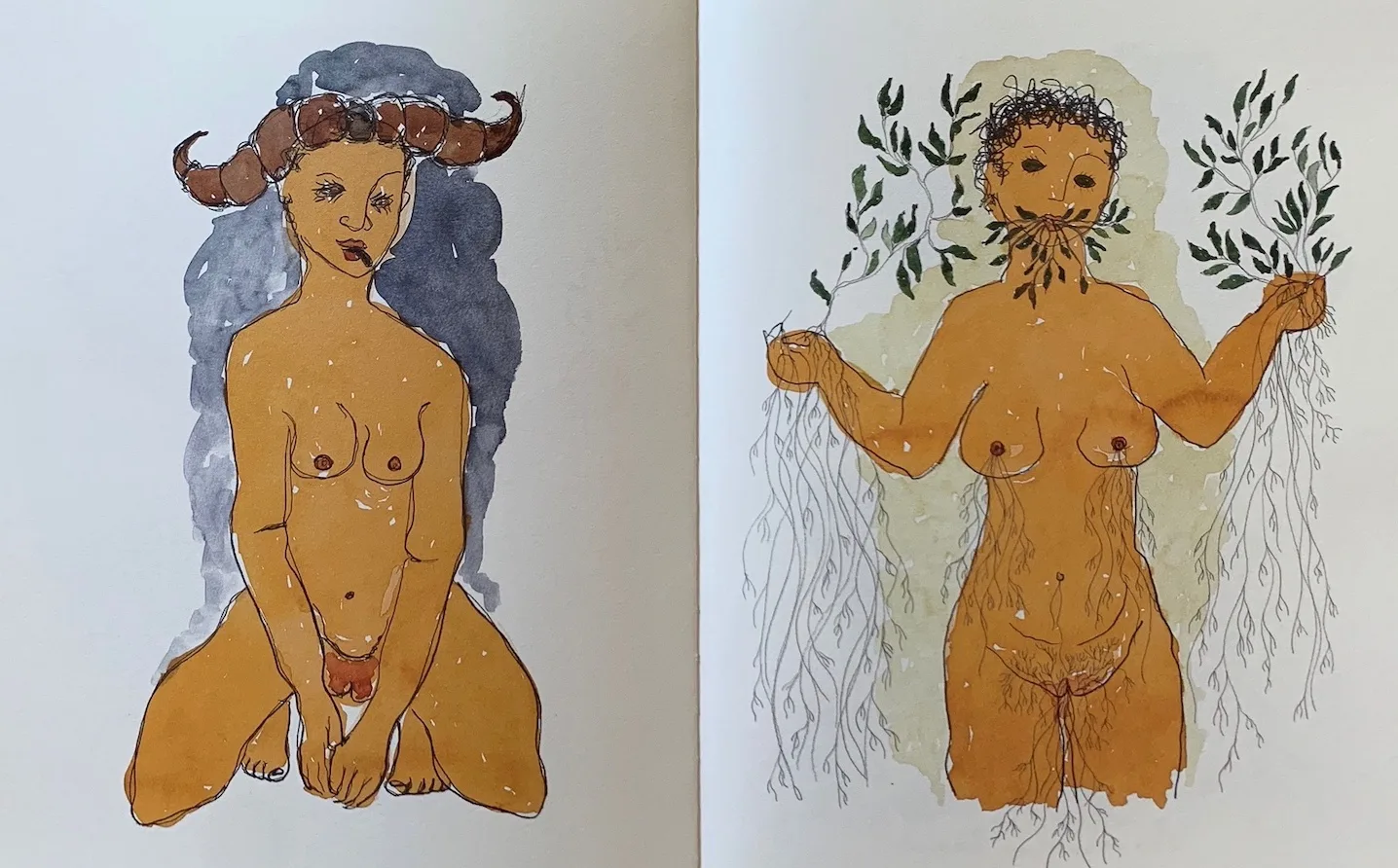 Livros AQA: Búfala e Sanhora das Plantas