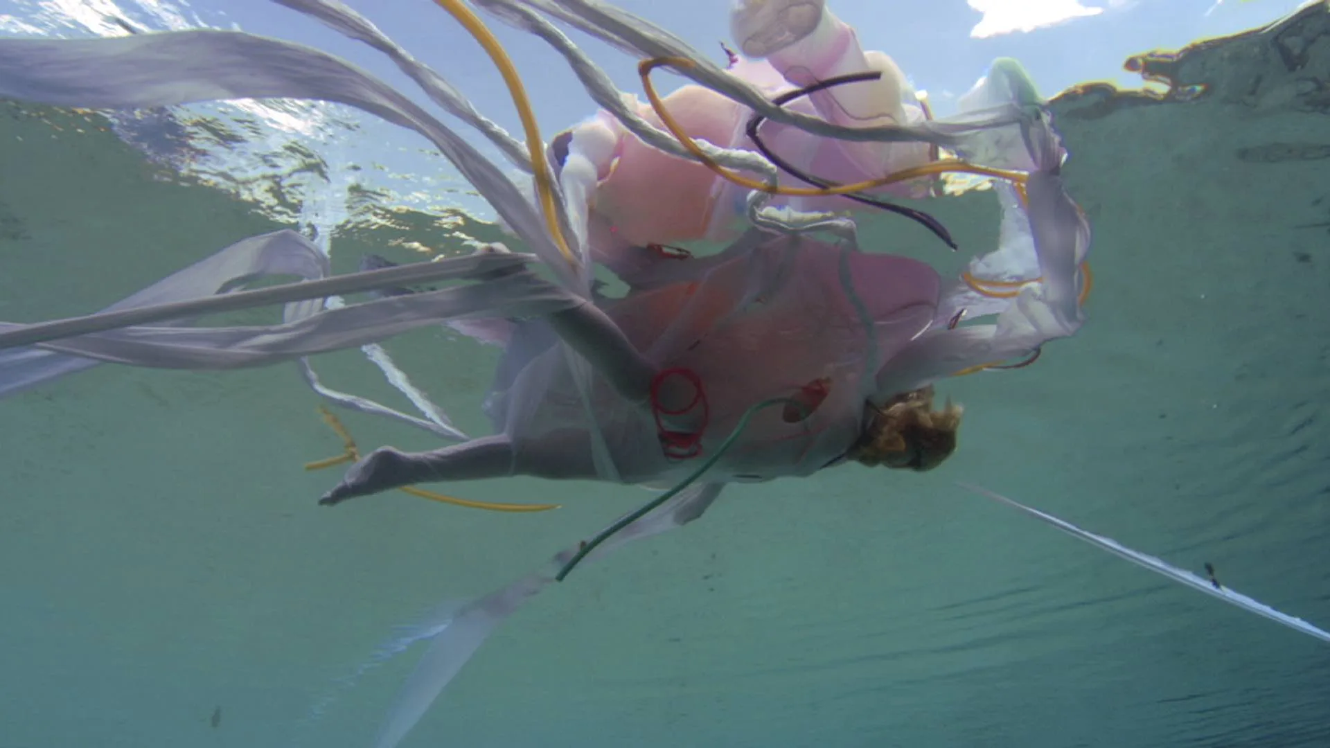 Blood Sea, de Janaina Tschäpe