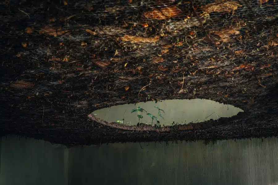 C. L. Salvaro Antes de afundar, flutua