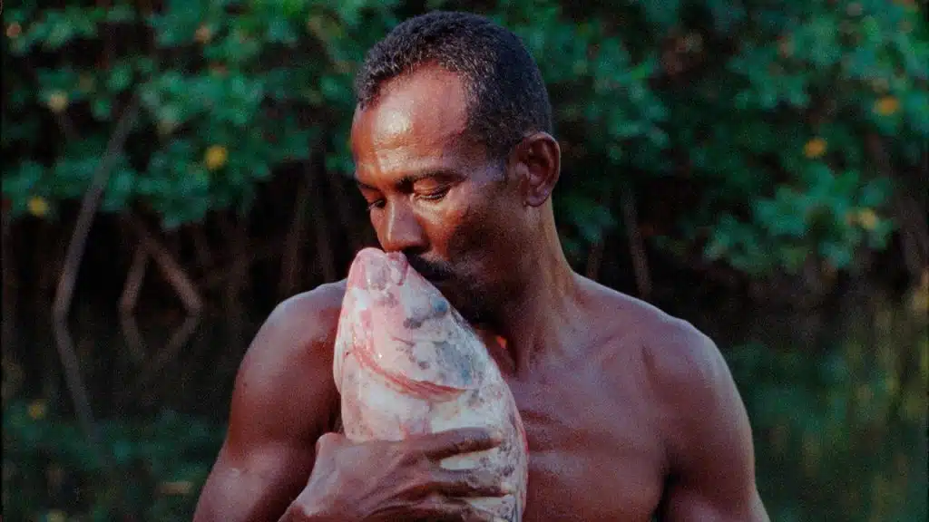 O Peixe, de Jonathas de Andrade, de 2016 / cortesia Galeria Nara Roesler e artista