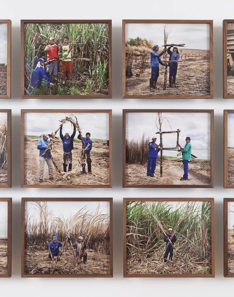 ABC da cana, de Jonathas de Andrade