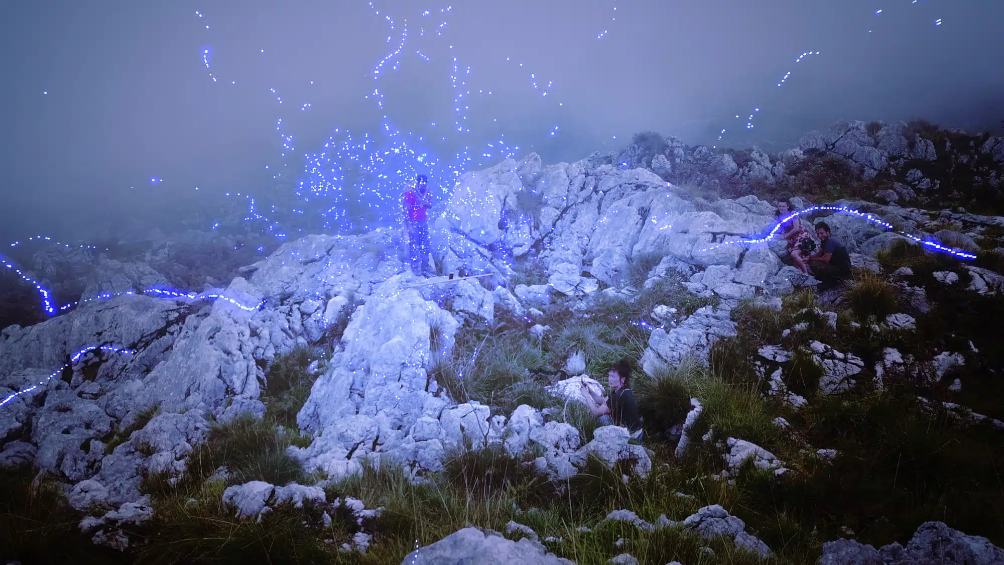 Animal Spirits, de Hito Steyerl, , 2022