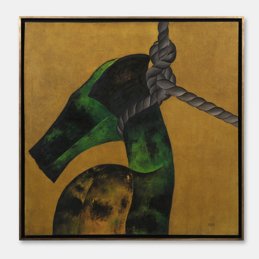 Antonio Henrique Amaral. Detalhe com corda, 1972. Óleo sobre tela. Edição_ única. 150 x 150 cm. Cortesia_ Casa Triângulo, São Paulo. Crédito fotógrafo_ Everton Ballardin (1)