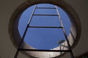 Diego Alencar fotografia