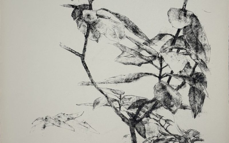 Foto: Cortesia da George Adams Gallery