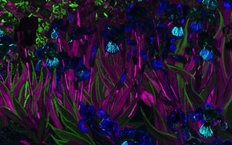 4b96dbe1-4b9f-4737-9d97-ef898752fe9d (1)