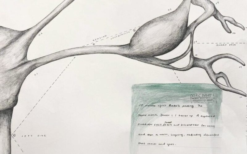 664617ea727a2fe0bb392e80_Sen_Feelings-Fossilized_3b-2 (1)