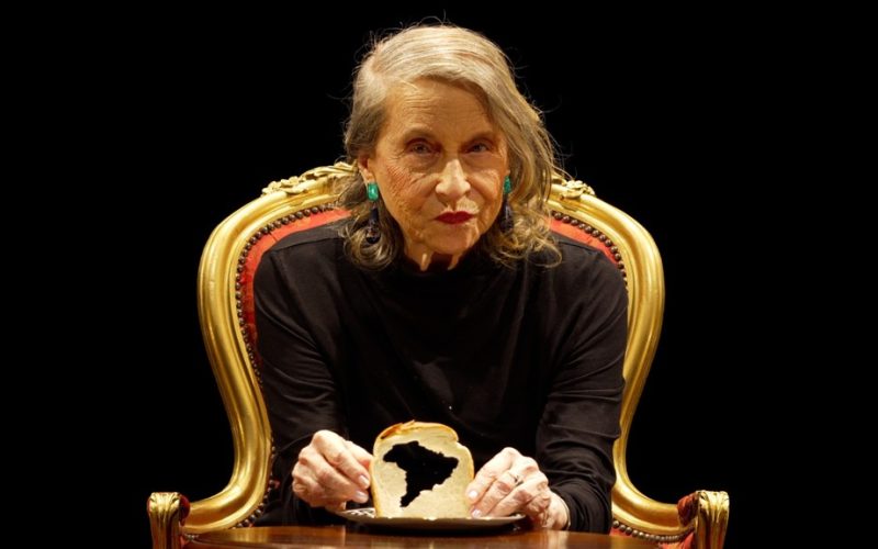 Anna Bella Geiger (1)