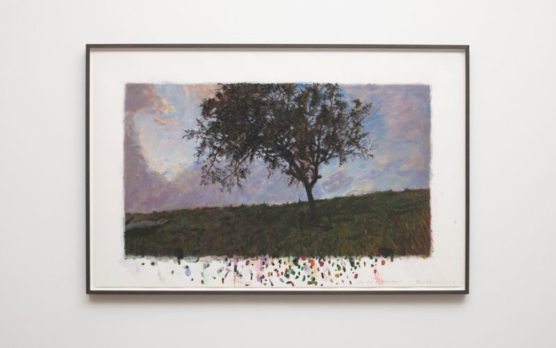 Backwards Growing Tree (Colour Sheet for Autumn)