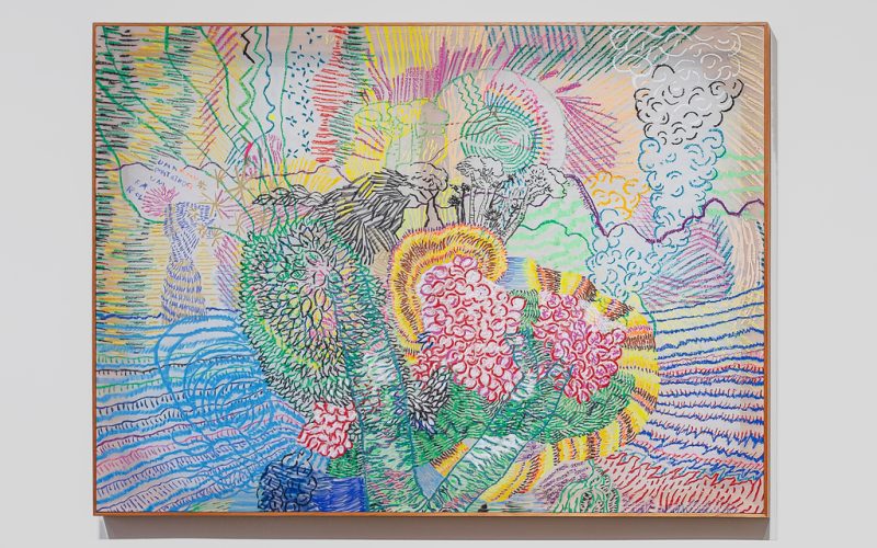 Bernardo Ramalho Peixe Branco (2025) Pastel oleoso sobre tela de nylon 80 x 110 cm (1)