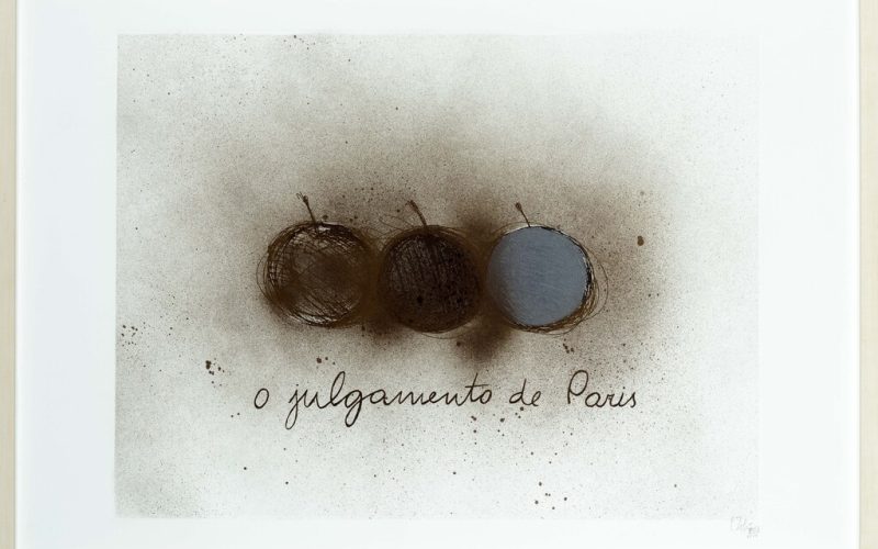 CARLOS ZILIO (1944) O julgamento de Paris, 2007-2019_crédito Crédito Jaime Acioli-116680 (1)