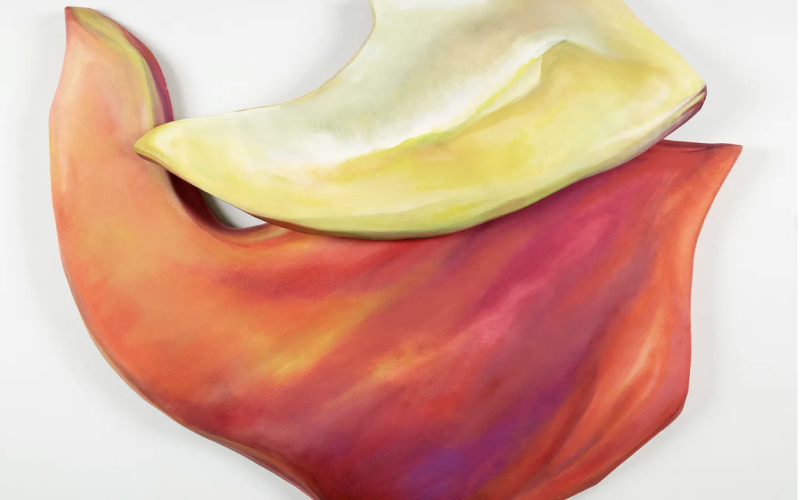 Captura de Tela 2026-02-27 às 13.57.01