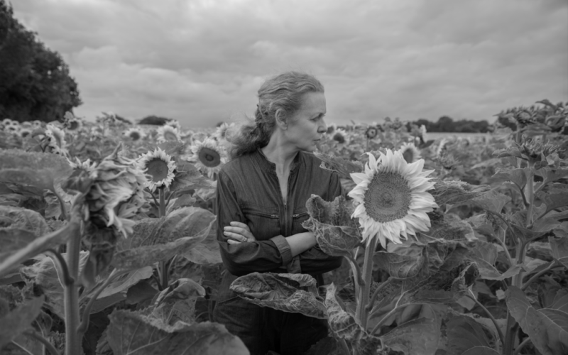 Capture-decran-2025-02-03-155709 (1) (1)