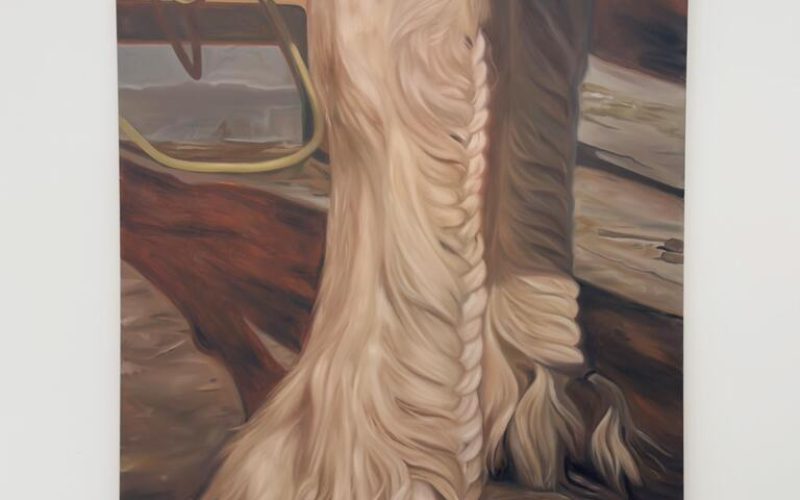 Junia Penido_Rabo de Cavalo (2) (1)