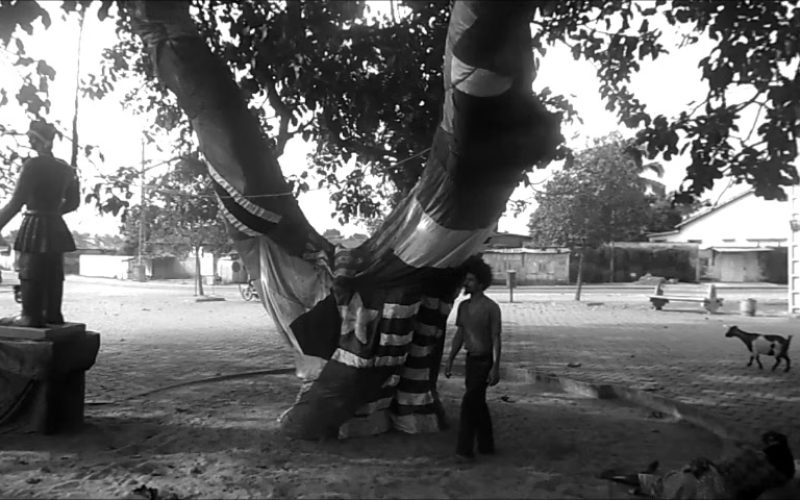 Paulo Nazareth - L'arbre d'Oublier [Árvore do Esquecimento], 2013