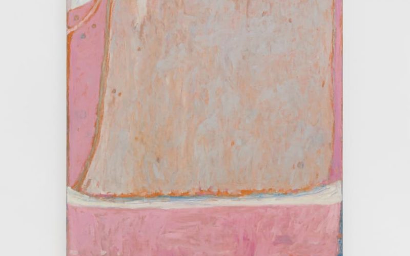 WhatsApp Image 2026-04-03 at 11.03.12