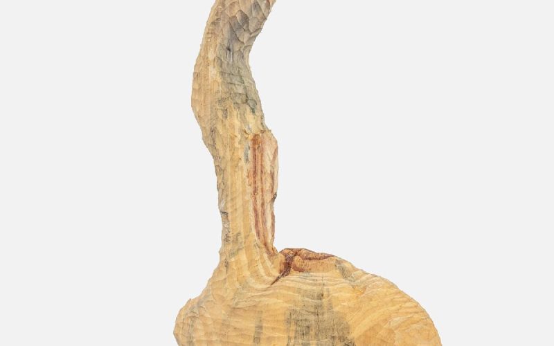 Zé Carlos Garcia, “Peixe das Nuvens” Casa Triângulo 07.10 – 08.11