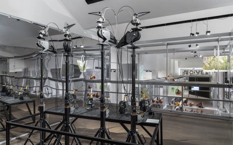 aFkgz3fc4bHWim1m_AJourneyIntoBiodiversity.EightForaysonPlanetEarthPievani_opera_Marta_Cuscunà_Foto_AlessandroSalettaeAgneseBedini-DSLStudio_©Triennale_Milano_AS_8961-Modifica