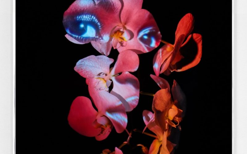 f6d5f524f5d9e74b785eabb8a9fc52ee (1)