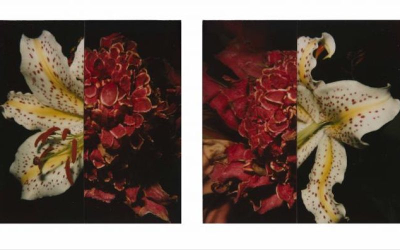 Nobuyoshi Araki. Sem Título, 1997 - 2024. Museu Guimet, Paris.
