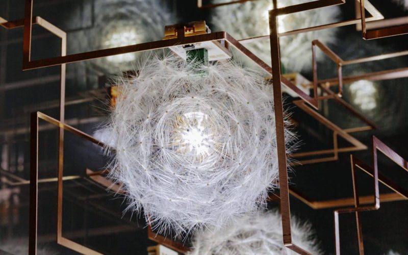 studio-drift_ccbb-sp